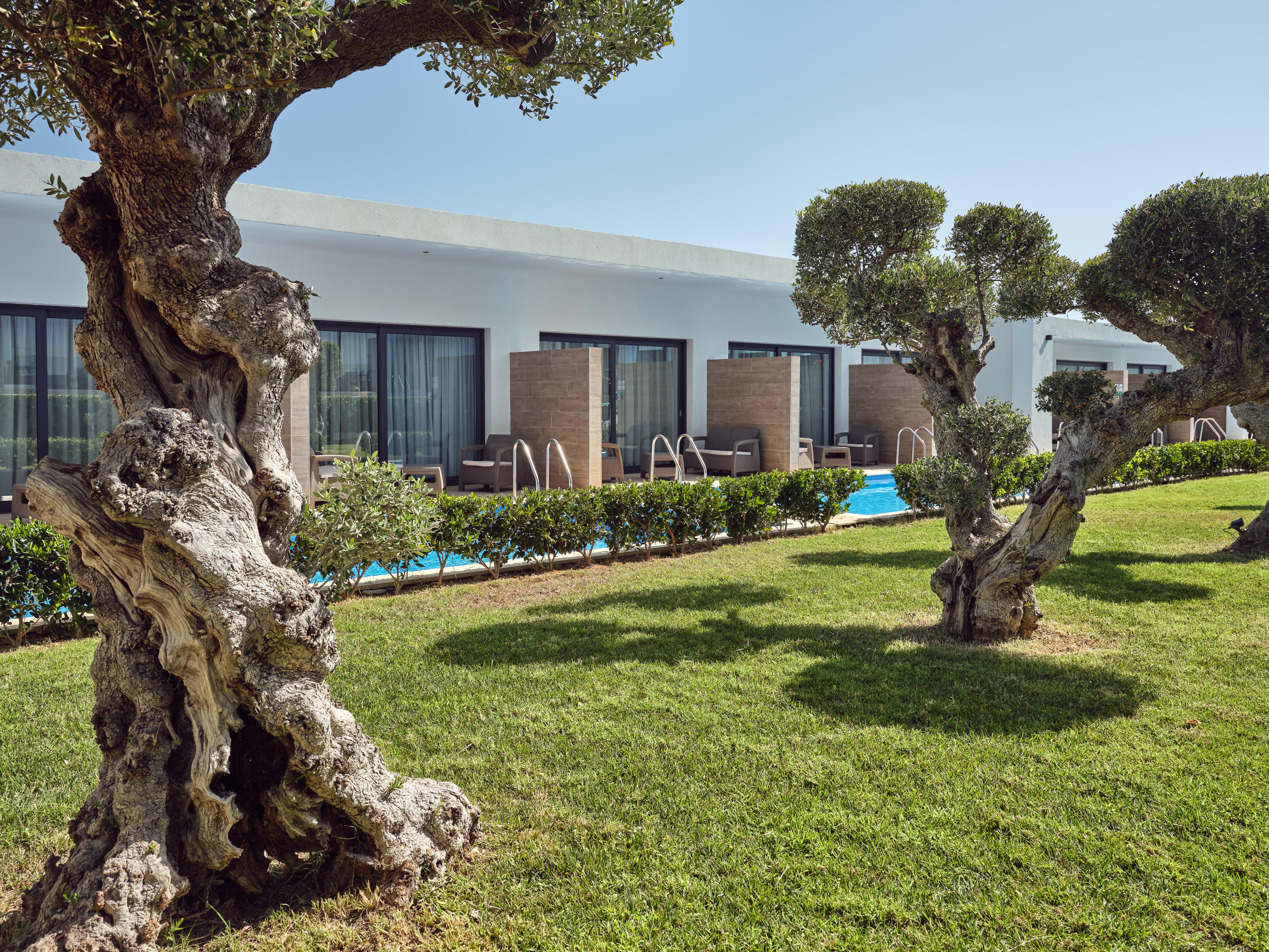 Cavo Orient Beach Hotel & Suites Drosia  المظهر الخارجي الصورة
